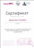 Сертификат - об освоении онлайн-курса по основам волонтерства для органов власти и бюджетных учреждений